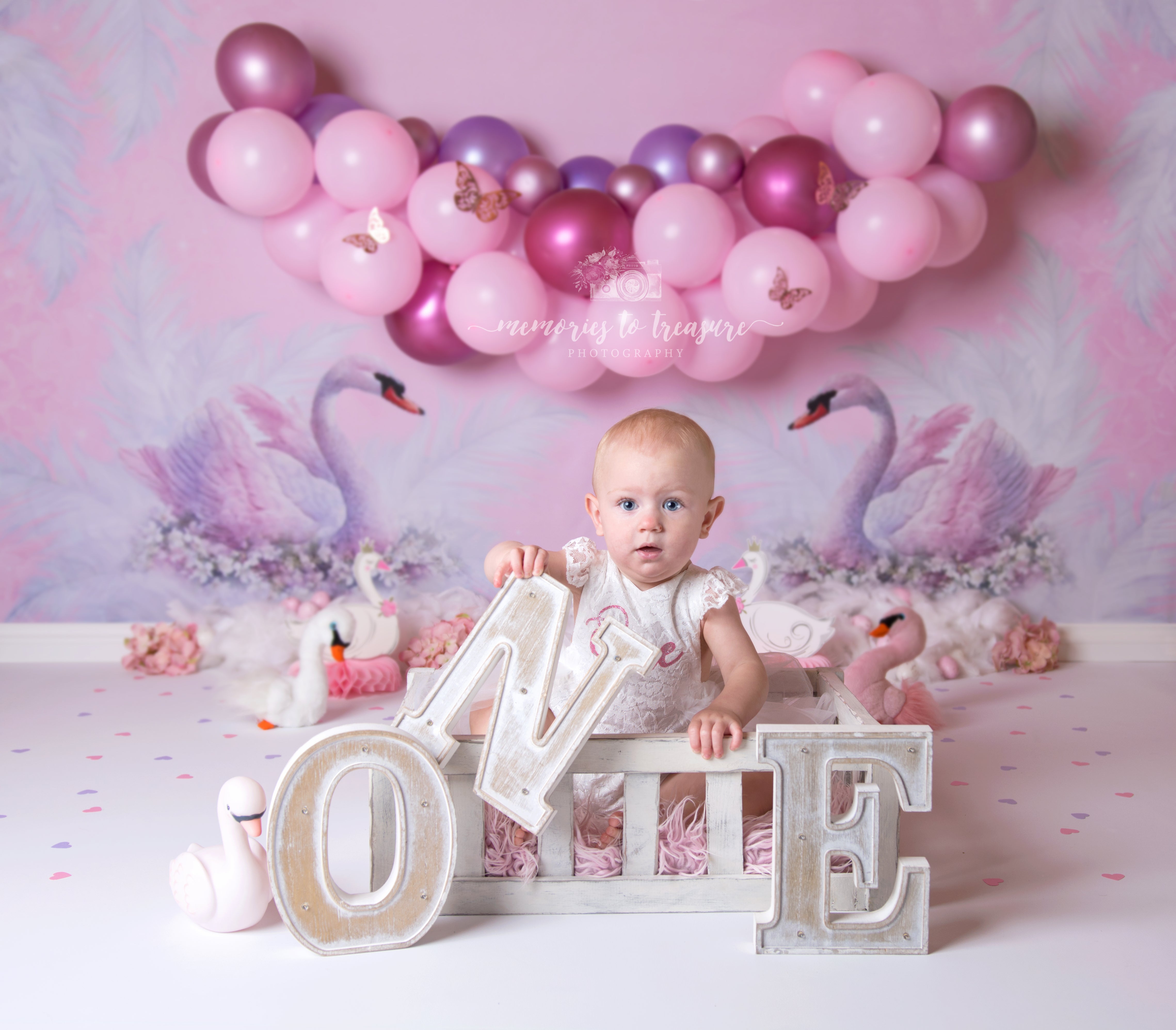 Avezano Pink Swan Balloon Theme Backdrop for Photography By Paula Easton-AVEZANO